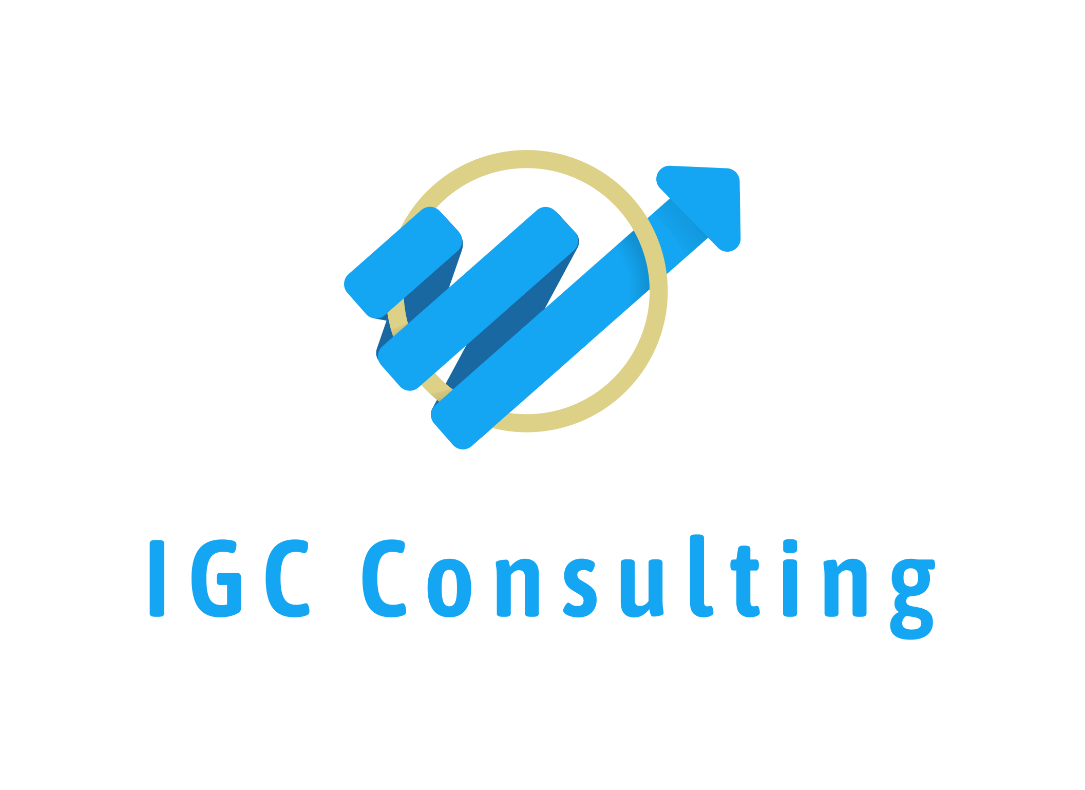 IGC Ecommerce Consultants